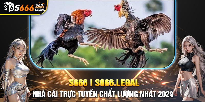 Tận hưởng các trận chiến với chất lượng hình ảnh tốt nhất