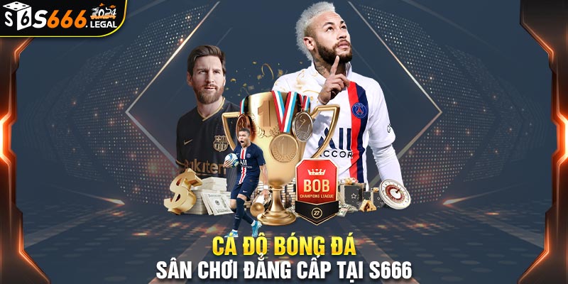 cá độ bóng đá