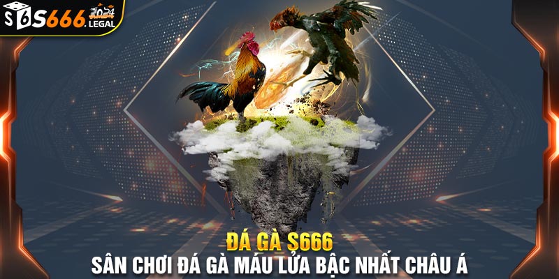 đá gà s666